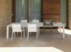 Poltrona Pranzo Milo - Talenti
