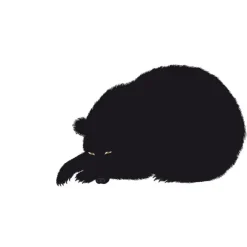 Sei, L'Orso - Danese Milano